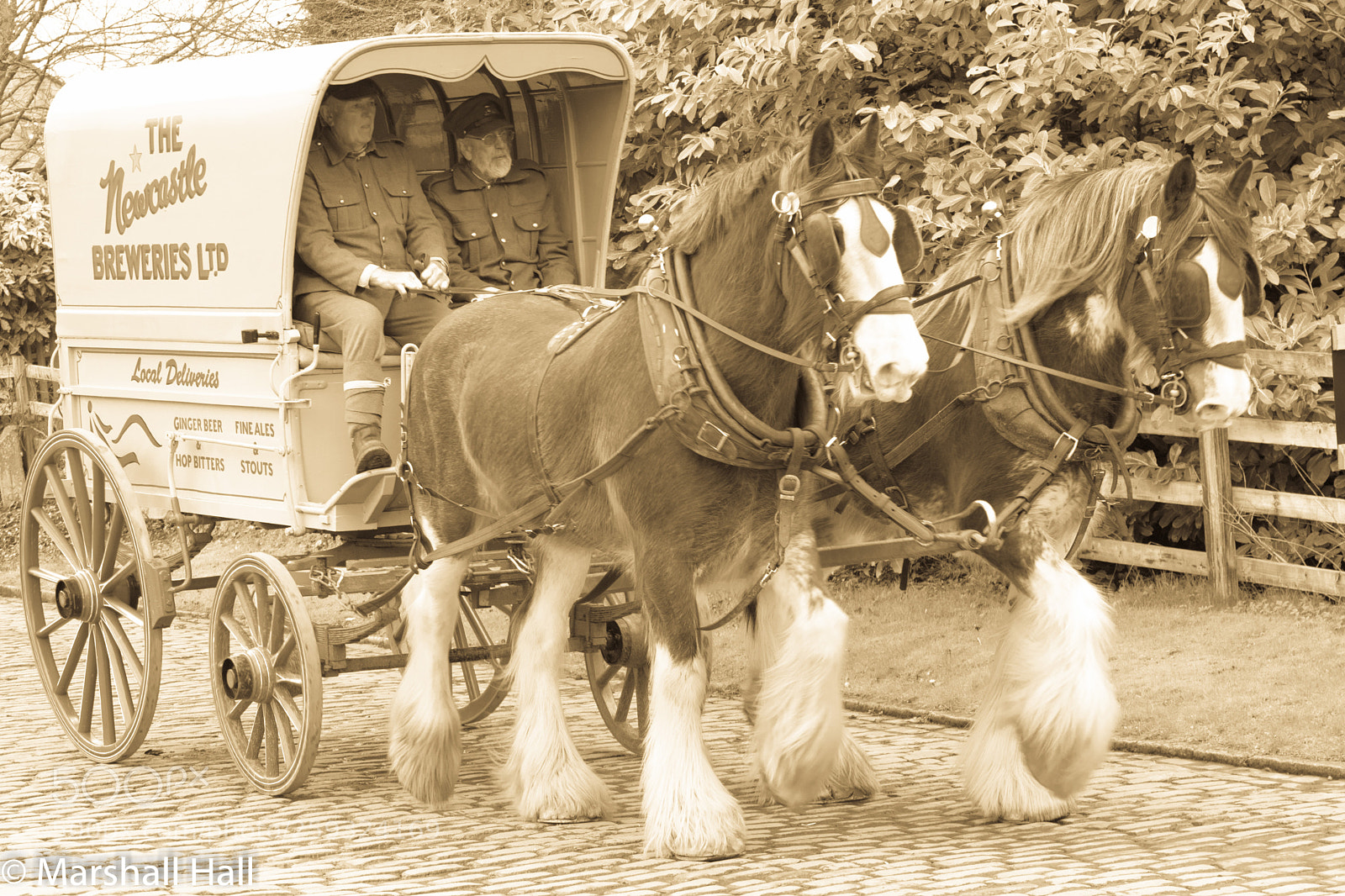 Nikon D7200 sample photo. Newcastle breweries carriage photography