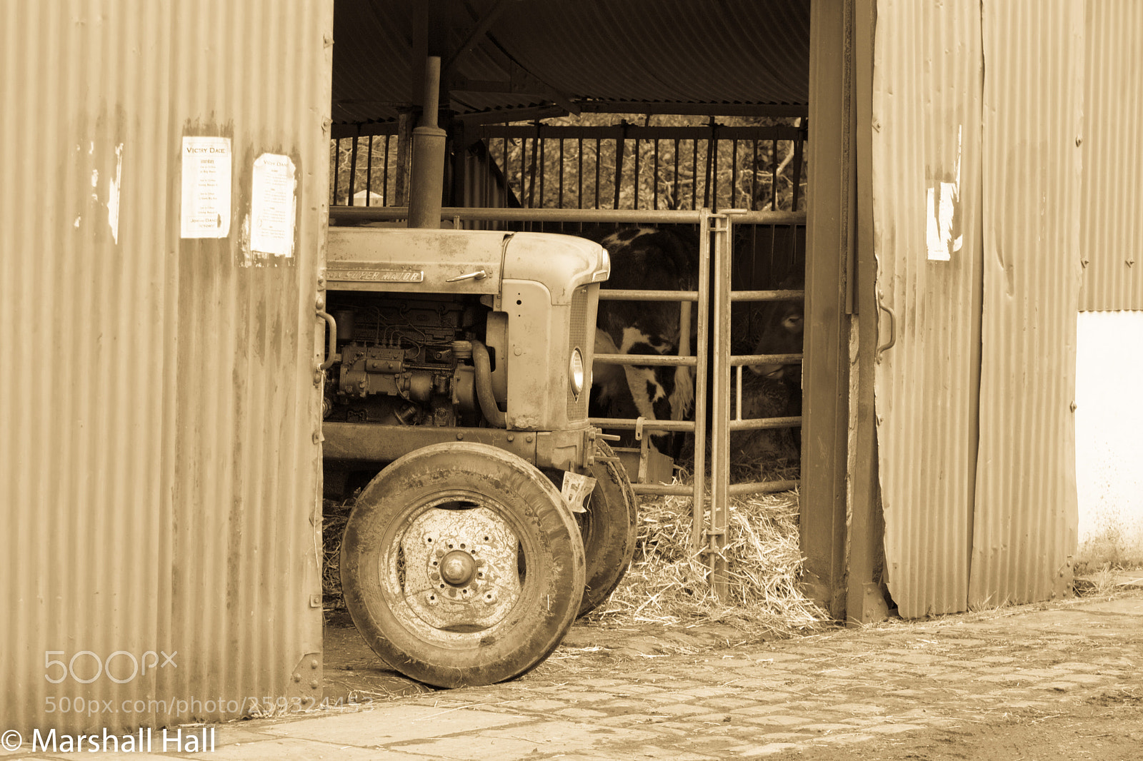 Nikon D7200 sample photo. Barn photography