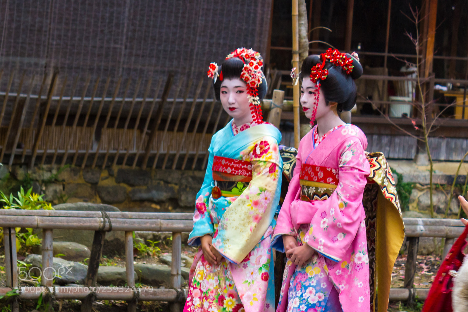 Canon EOS 550D (EOS Rebel T2i / EOS Kiss X4) sample photo. Geishas in kyoto photography