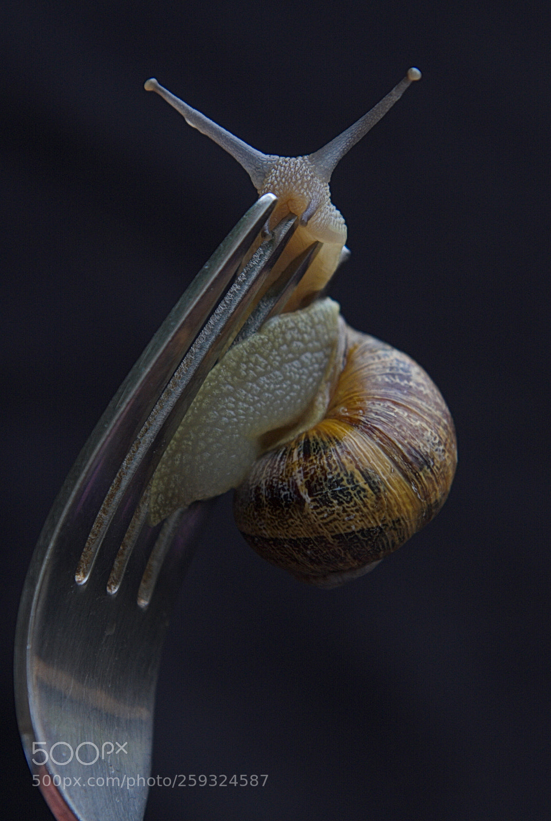 Canon EOS 7D sample photo. Img photography