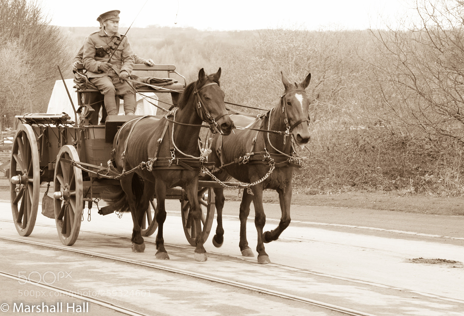 Nikon D7200 sample photo. Horse drawn carriage photography