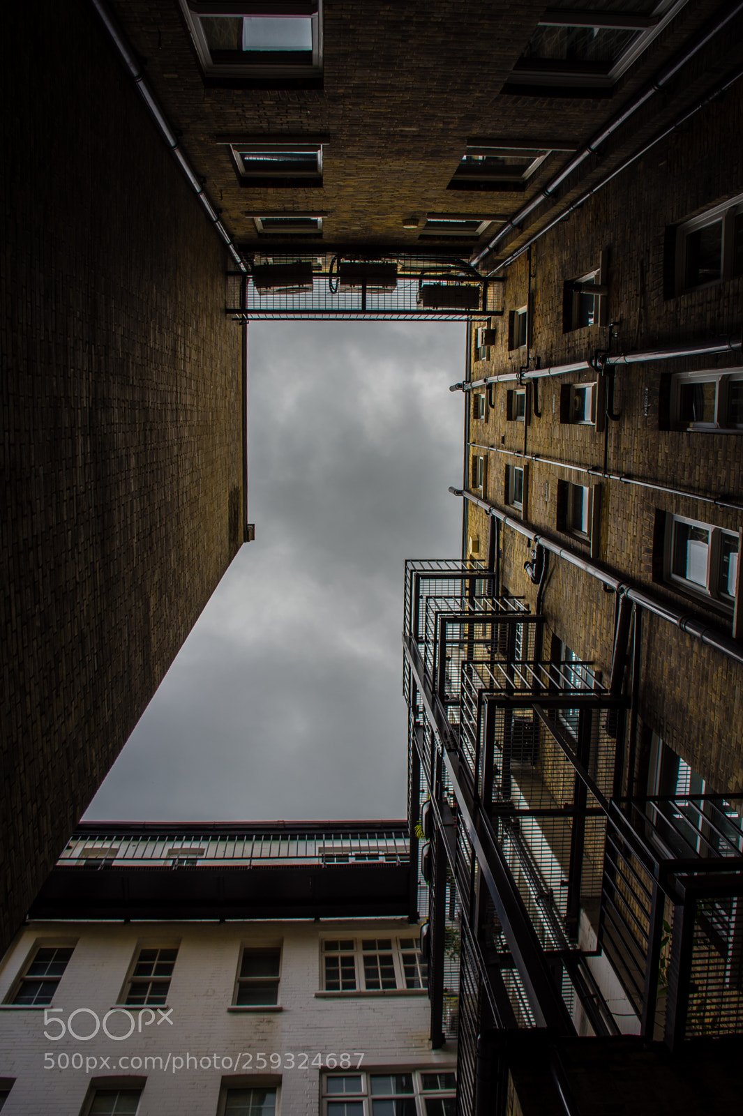 Nikon D7200 sample photo. Keep your head up photography