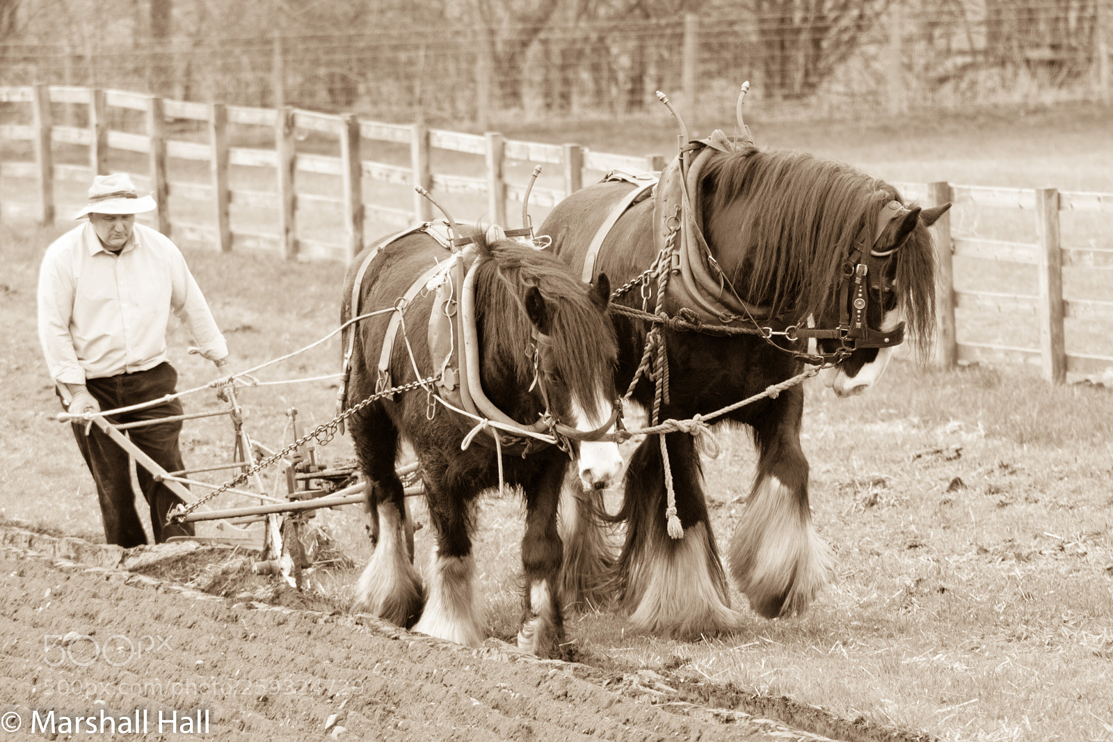 Nikon D7200 sample photo. Horse drawn plough photography