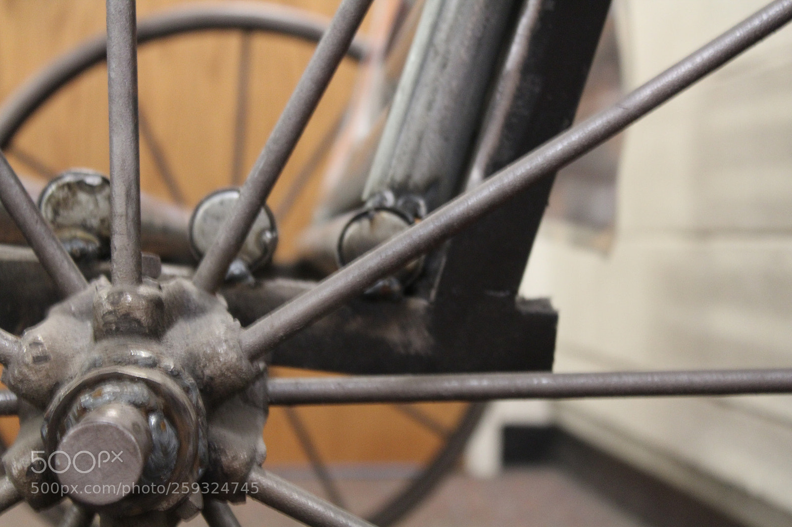 Canon EOS 1200D (EOS Rebel T5 / EOS Kiss X70 / EOS Hi) sample photo. Bench photography