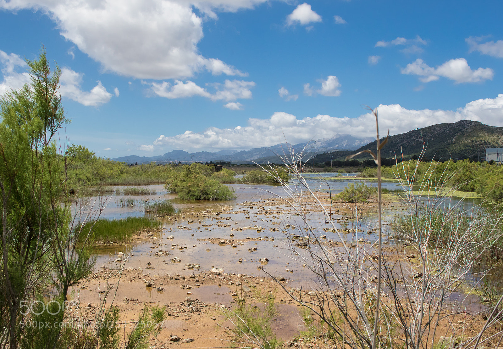 Canon EOS 7D Mark II sample photo. S'albufera natural park photography