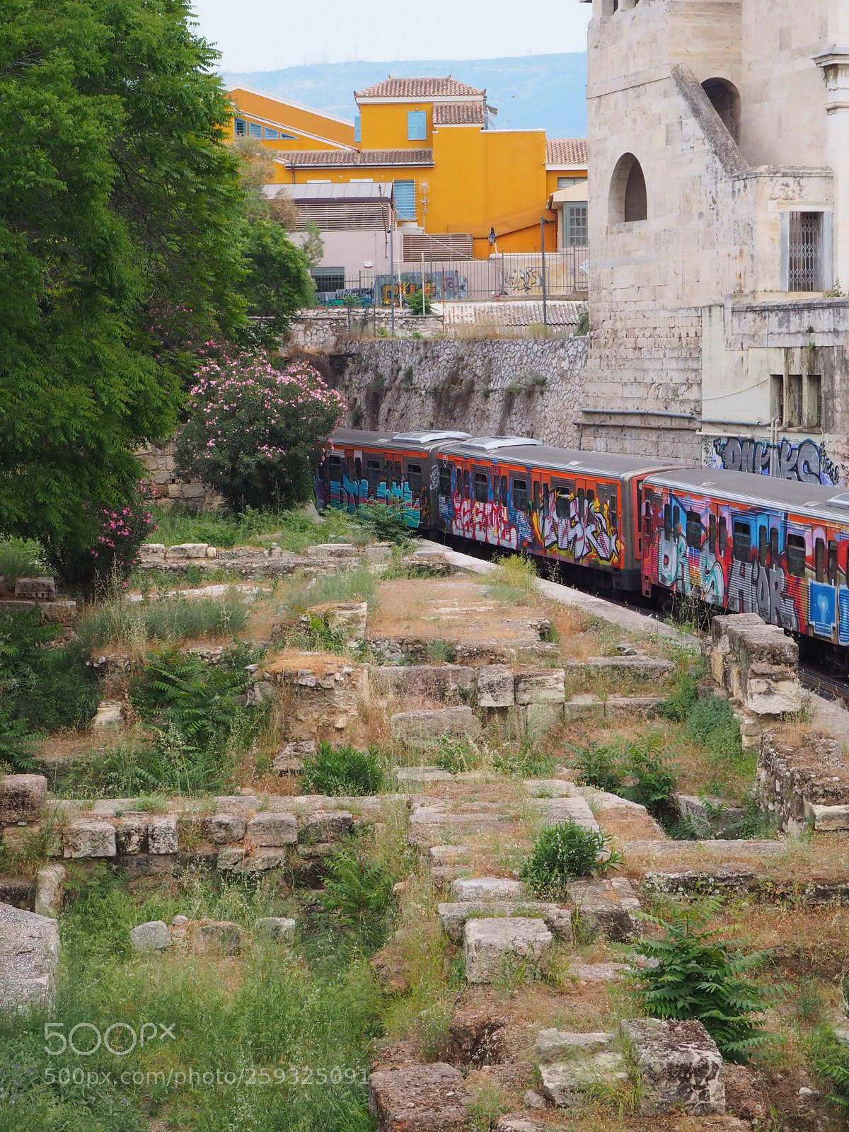 Olympus OM-D E-M10 II sample photo. Graffiti train passing by photography