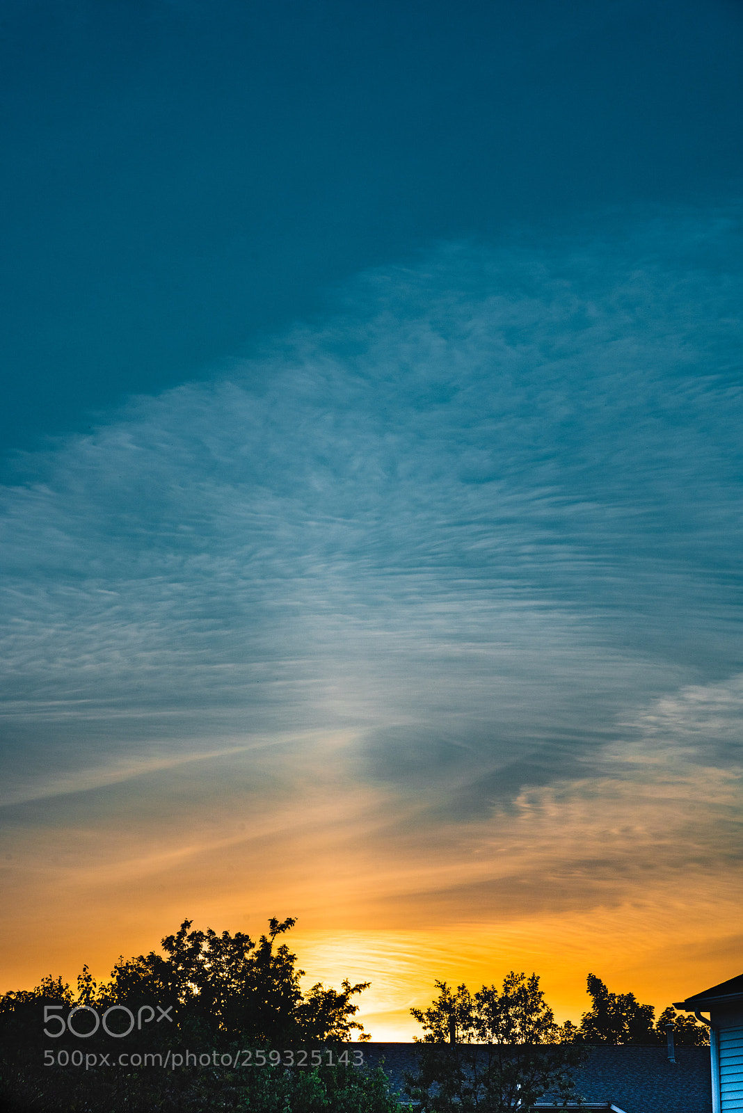 Nikon D810 sample photo. ©ndc_-6130.jpg photography