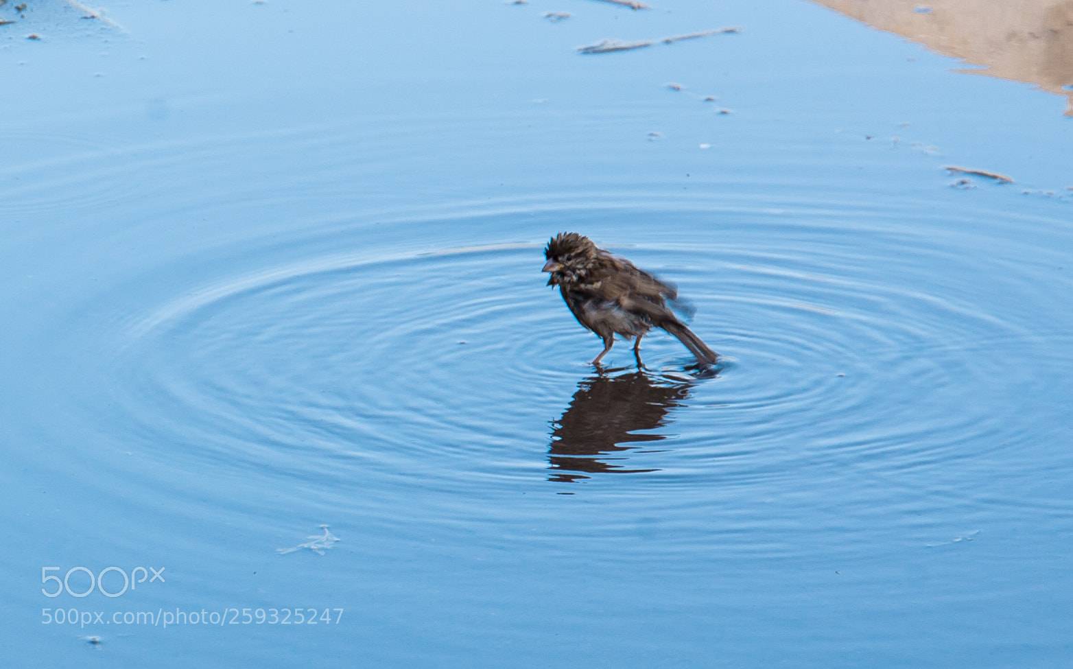 Canon EOS 5D sample photo. Img photography