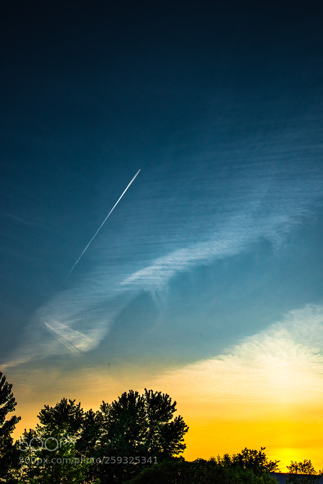 Nikon D810 sample photo. ©ndc_-6134.jpg photography