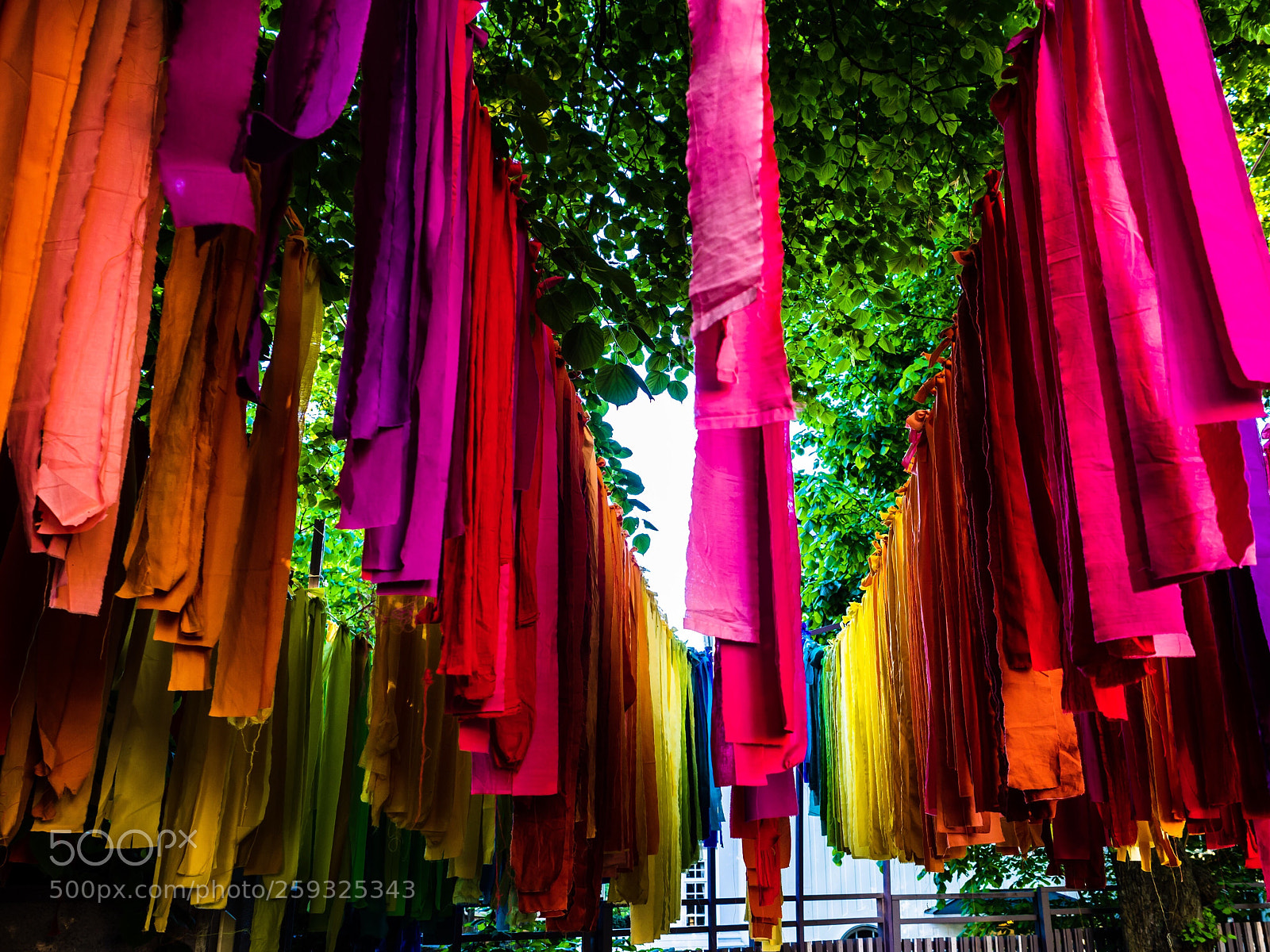 Olympus OM-D E-M10 II sample photo. Drying colors photography