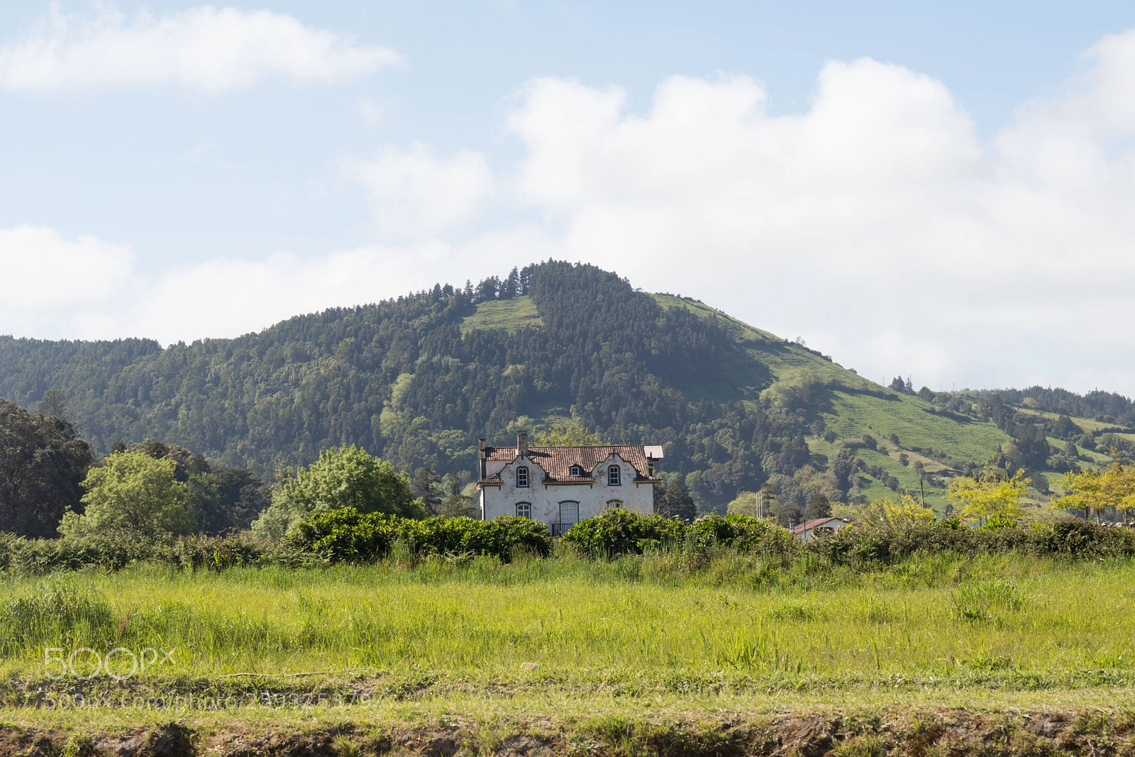 Canon EOS 80D sample photo. Azores photography