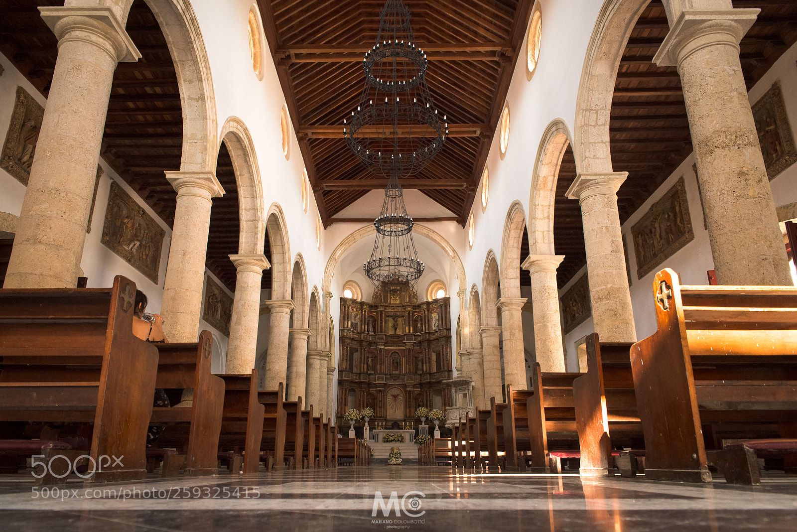 Nikon D610 sample photo. From the ground photography
