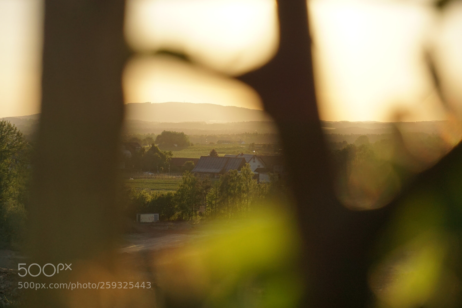 Sony a6000 sample photo. The golden hour photography