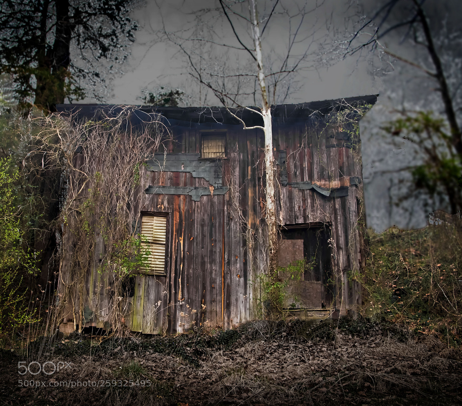 Nikon D500 sample photo. Portraits of ordinary architecture 196 photography