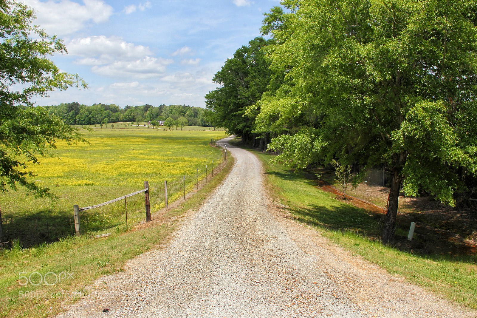 Canon EOS 550D (EOS Rebel T2i / EOS Kiss X4) sample photo. Driveway photography