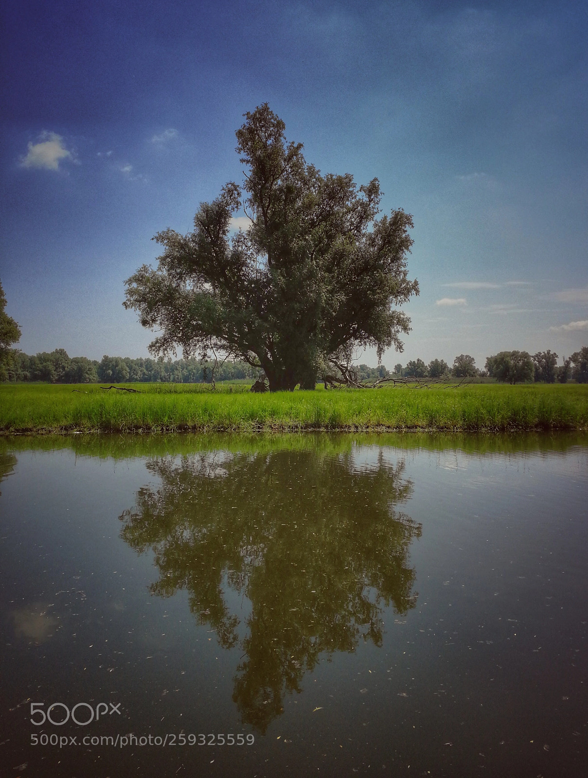 HUAWEI P10 sample photo. Reflection photography