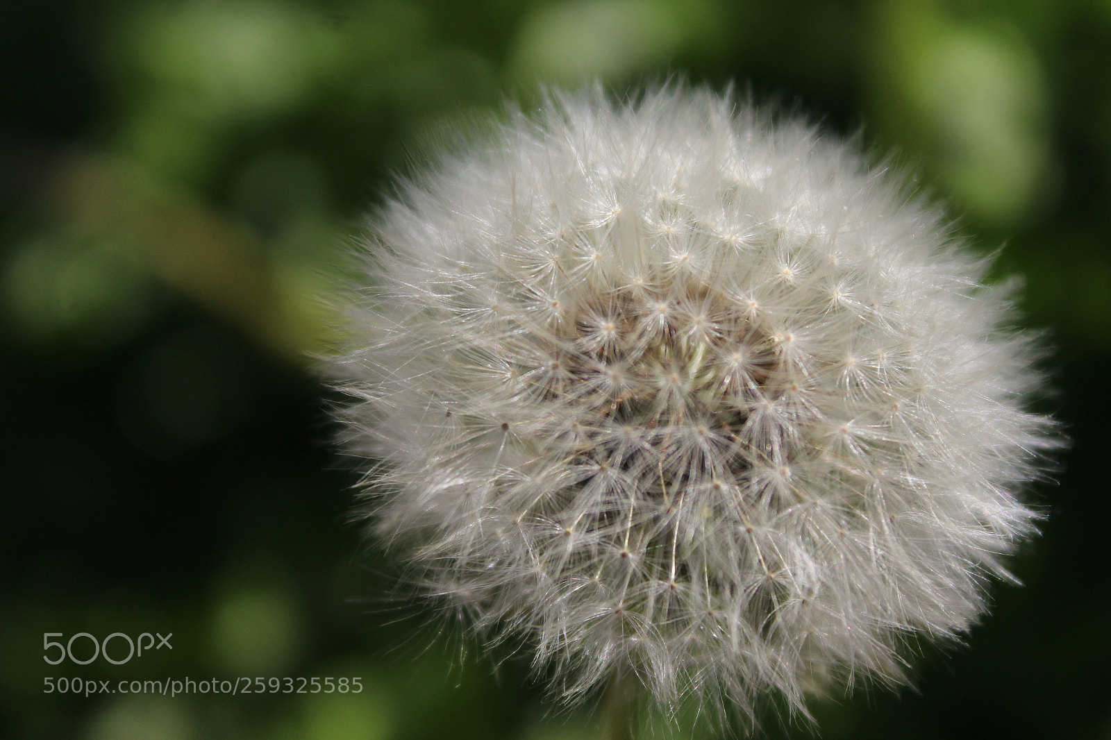 Canon EOS 1200D (EOS Rebel T5 / EOS Kiss X70 / EOS Hi) sample photo. Img photography