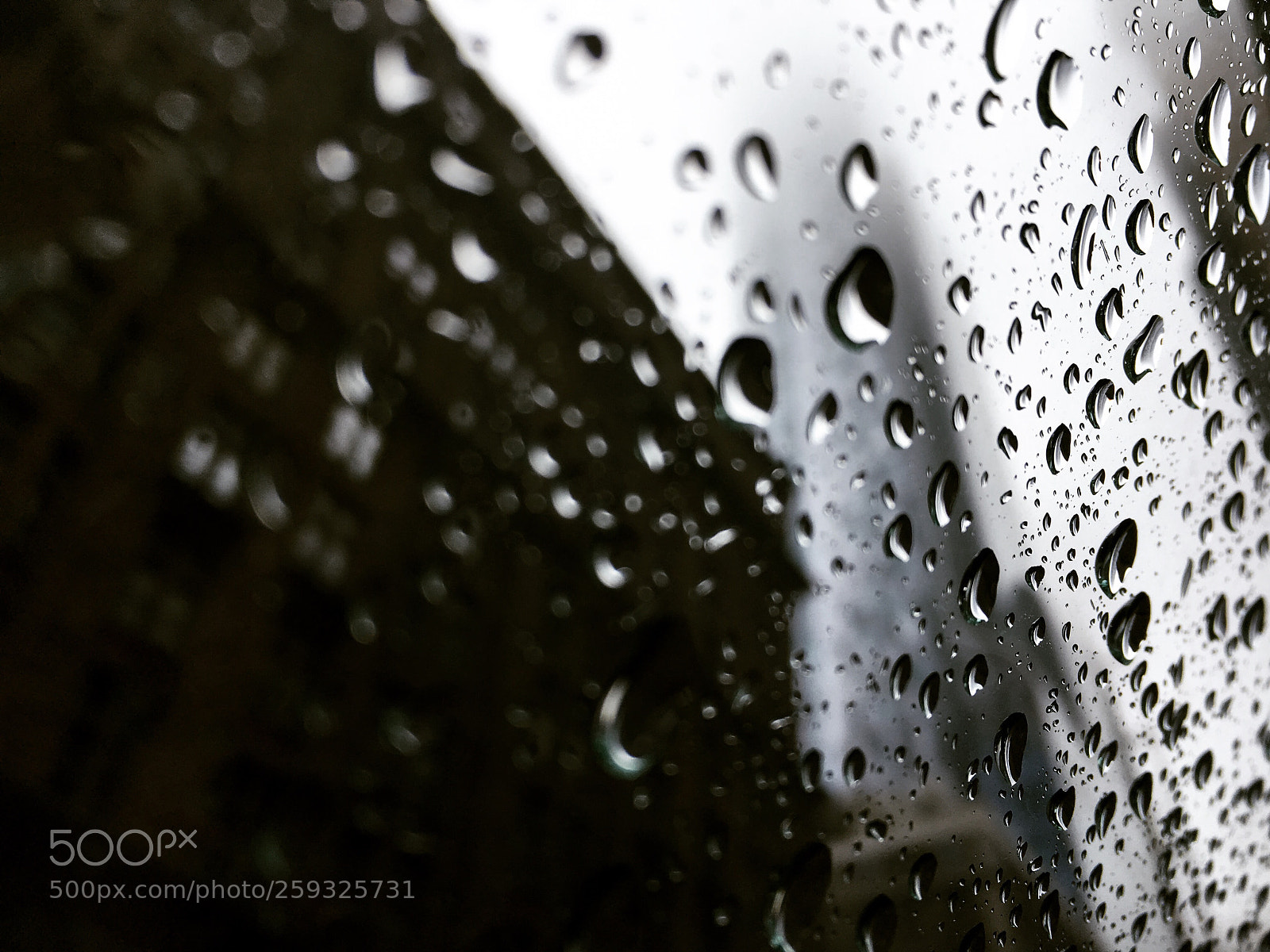 Apple iPhone 6s Plus sample photo. A rainy ny afternoon .. photography