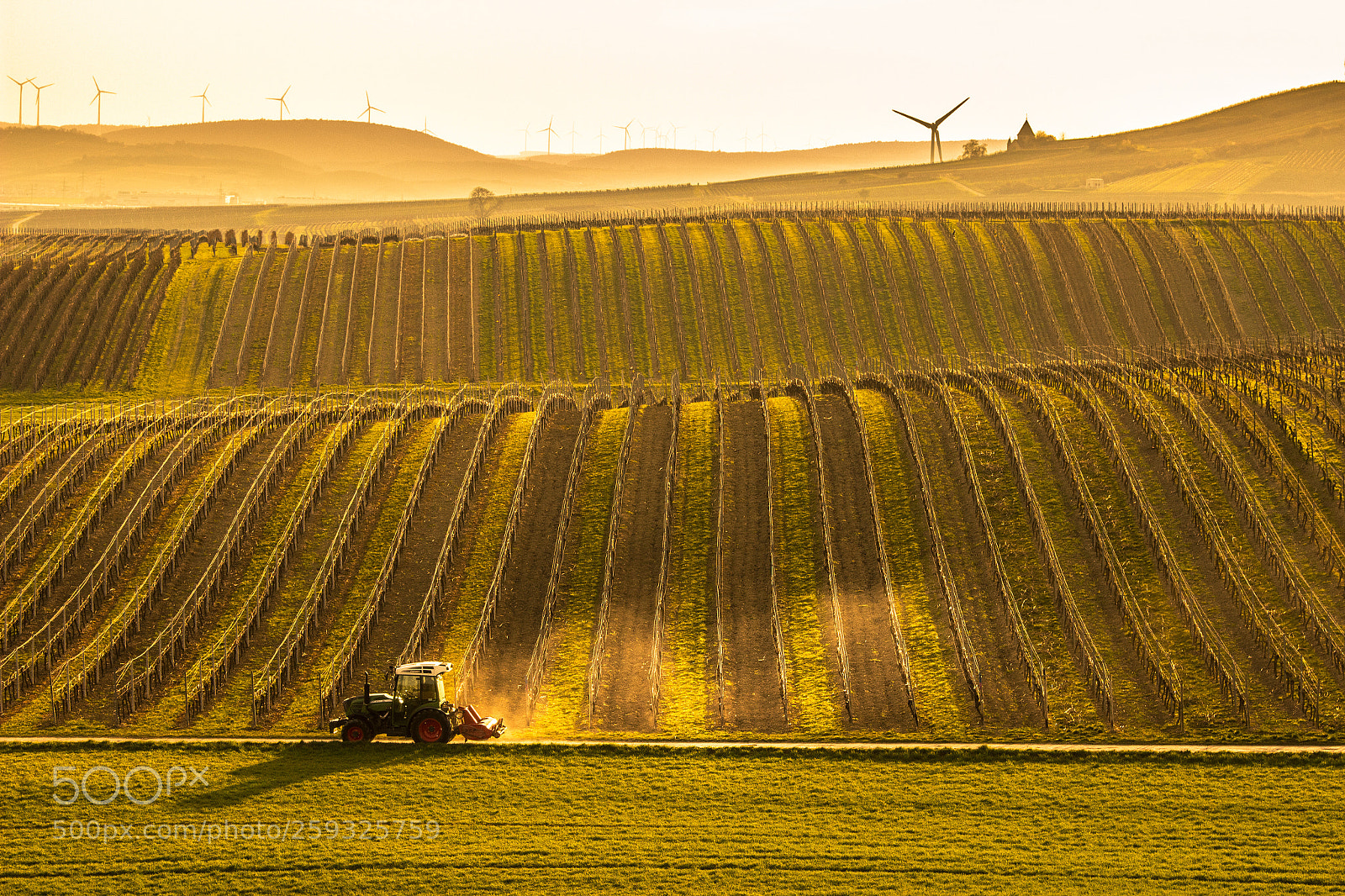 Canon EOS 600D (Rebel EOS T3i / EOS Kiss X5) sample photo. Vineyards vendersheim photography