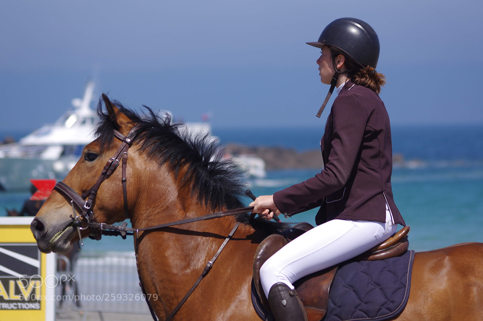 Pentax K-3 II sample photo. Cso perros guirec photography