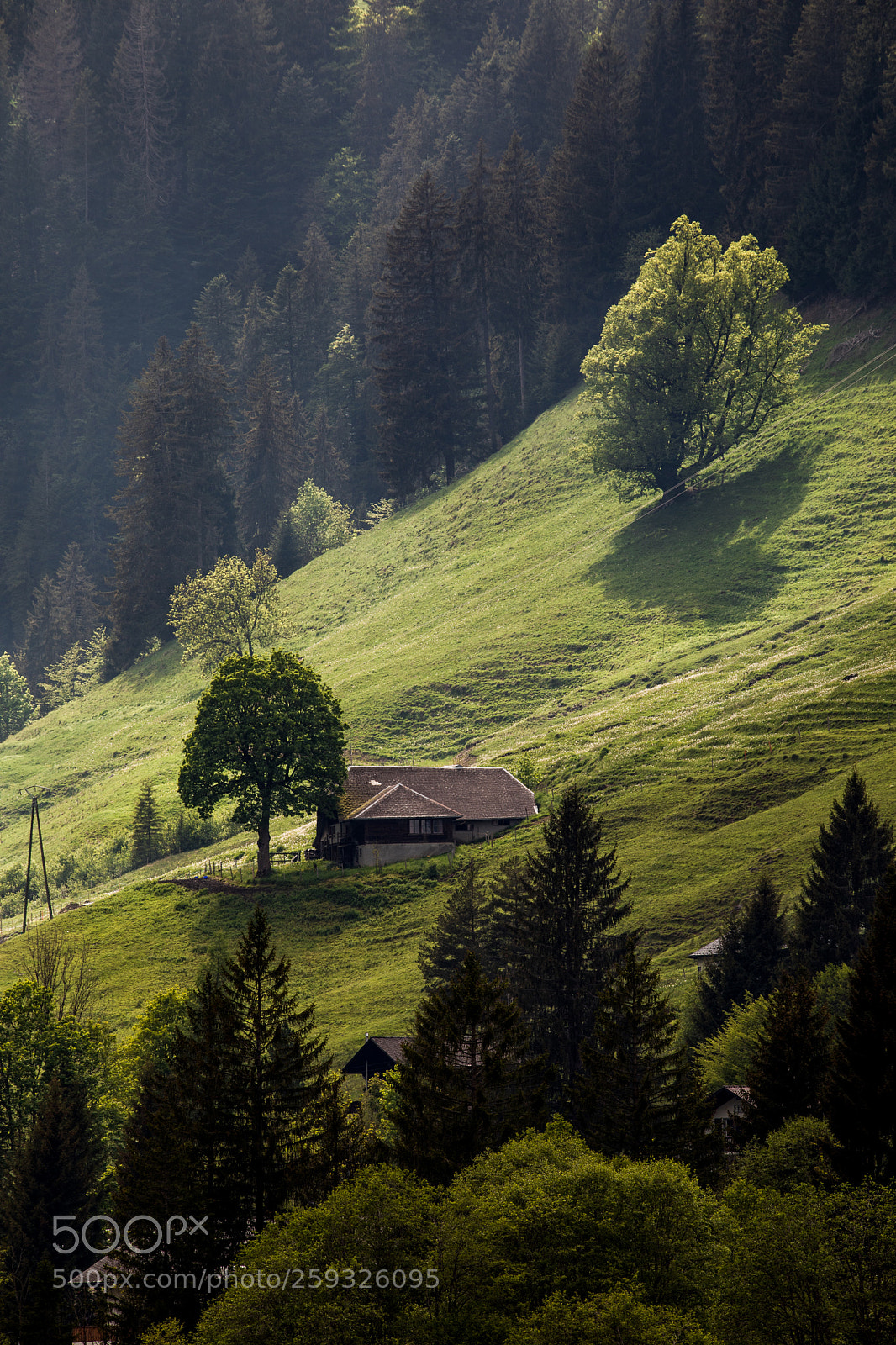 Canon EOS 5D Mark IV sample photo. Lac noir - mai 2018 photography