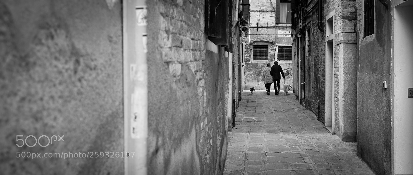 Fujifilm X100F sample photo. Take the dogs for photography