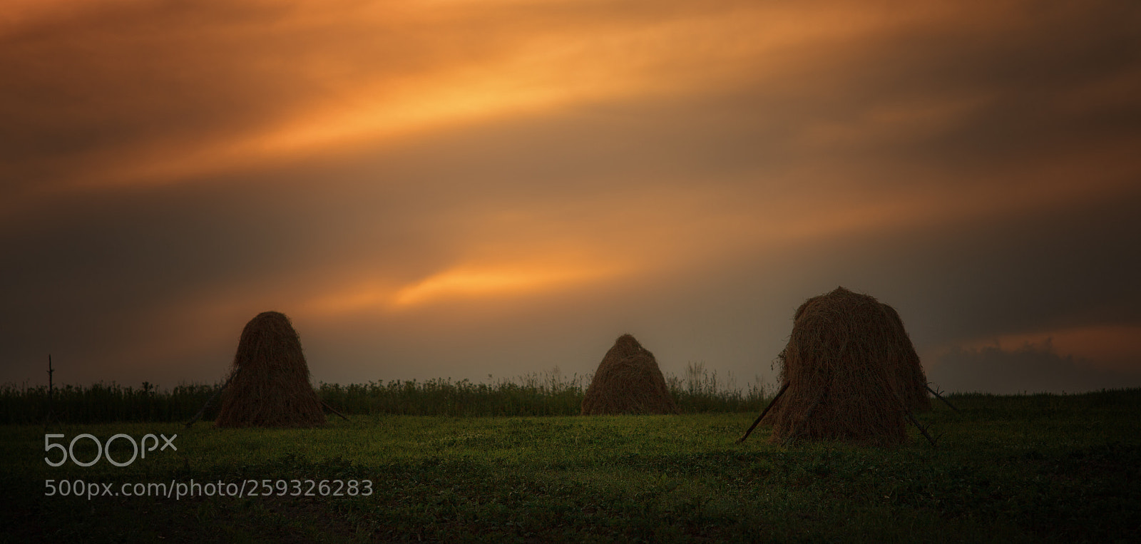 Canon EOS 5D Mark II sample photo. ... photography