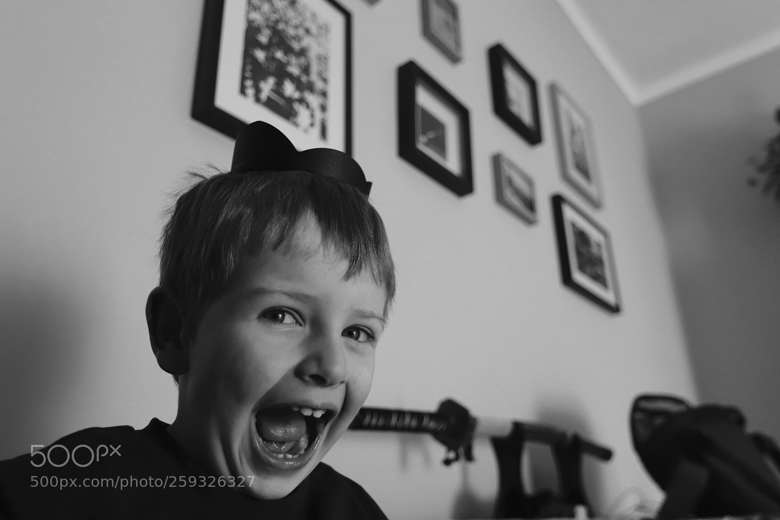 Canon EOS 77D (EOS 9000D / EOS 770D) sample photo. King lens hood and photography