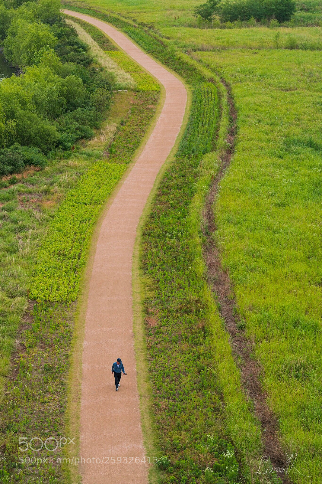 Sony a7R II sample photo. You are going on photography