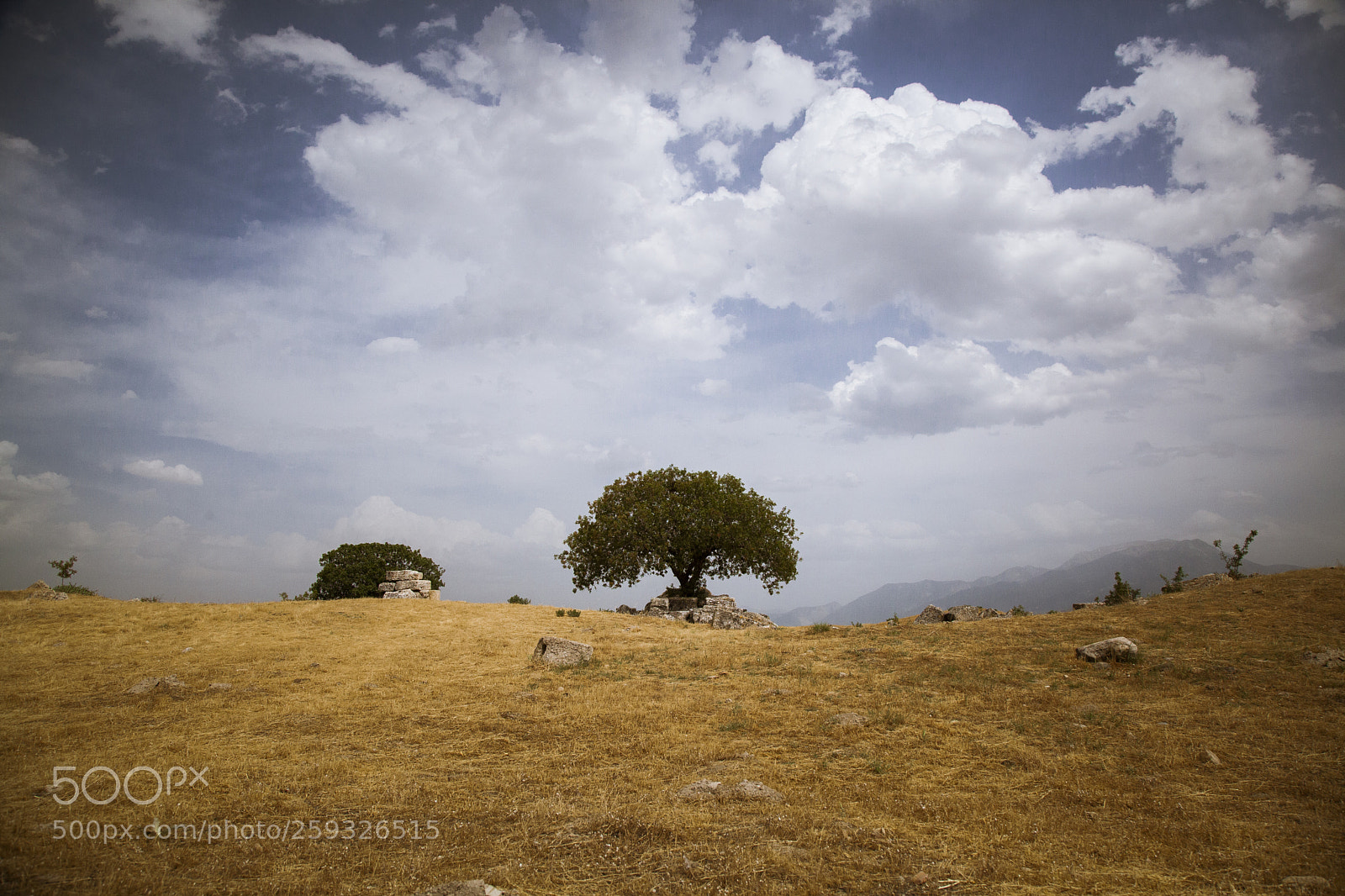 Canon EOS 5D Mark II sample photo. Life photography