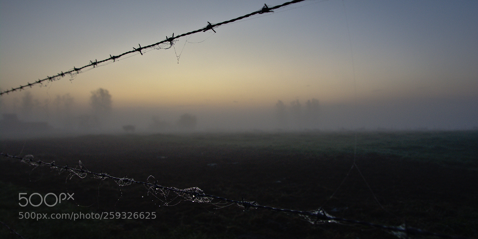Nikon D5200 sample photo. Misty morning photography
