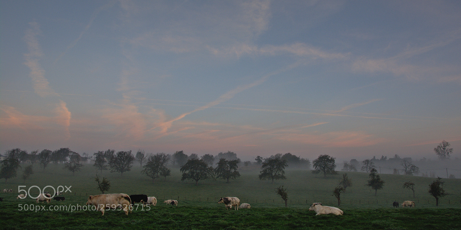 Nikon D5200 sample photo. Early risers photography