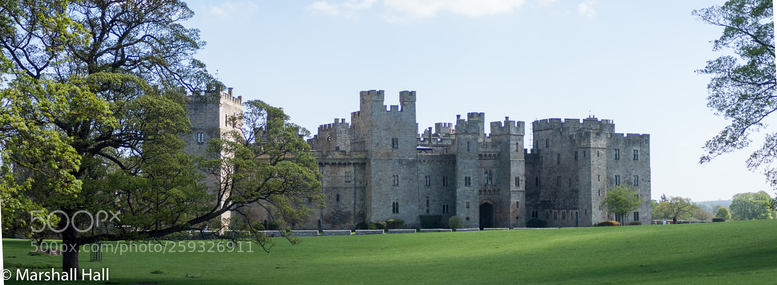 Nikon D7200 sample photo. Raby castle panorama photography