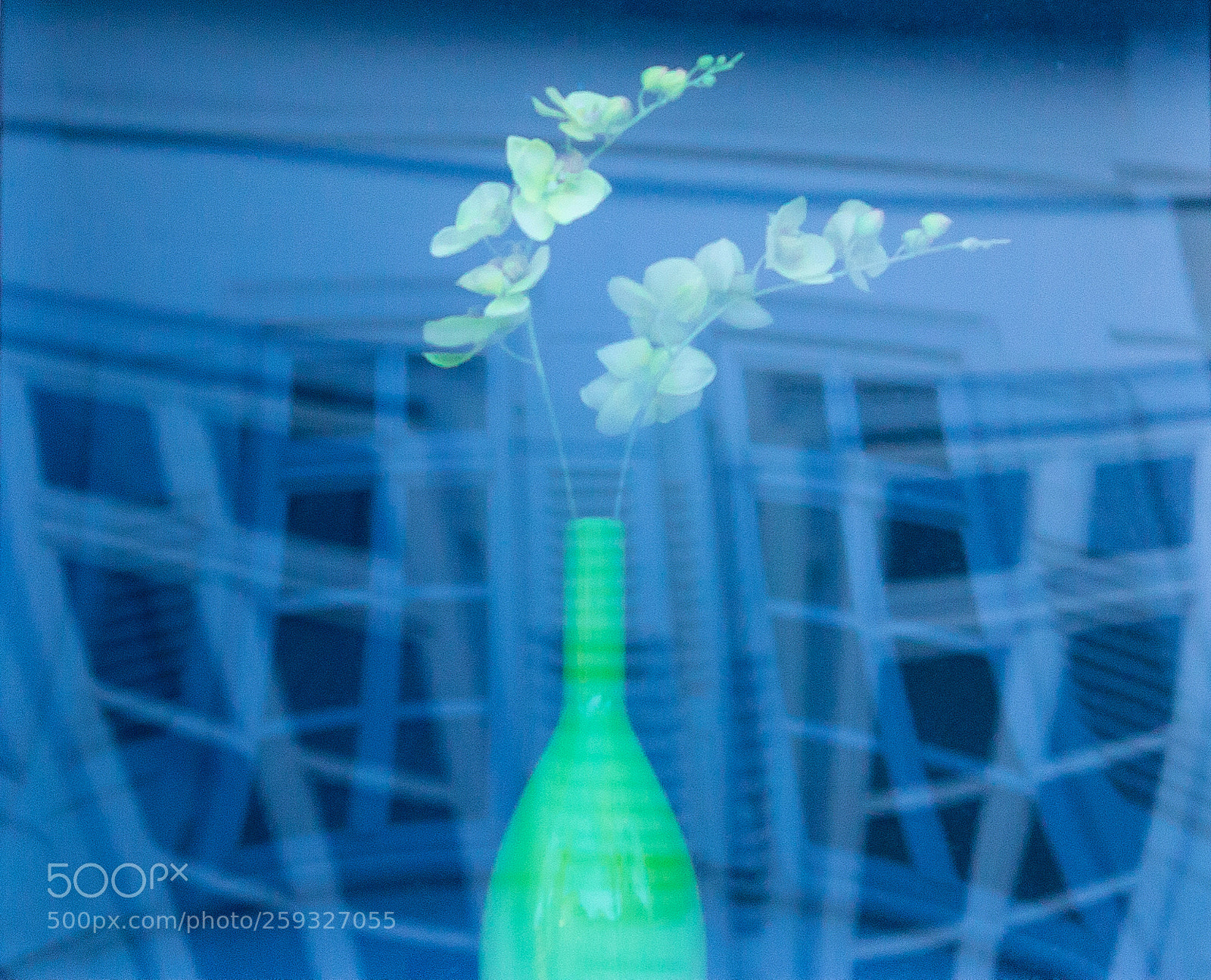 Canon EOS 5D Mark II sample photo. From window to window photography
