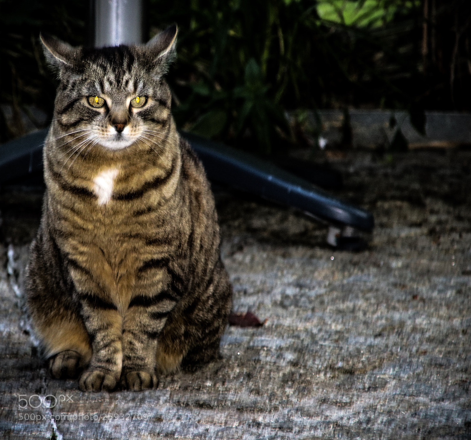 Canon EOS 80D sample photo. Untitled photography