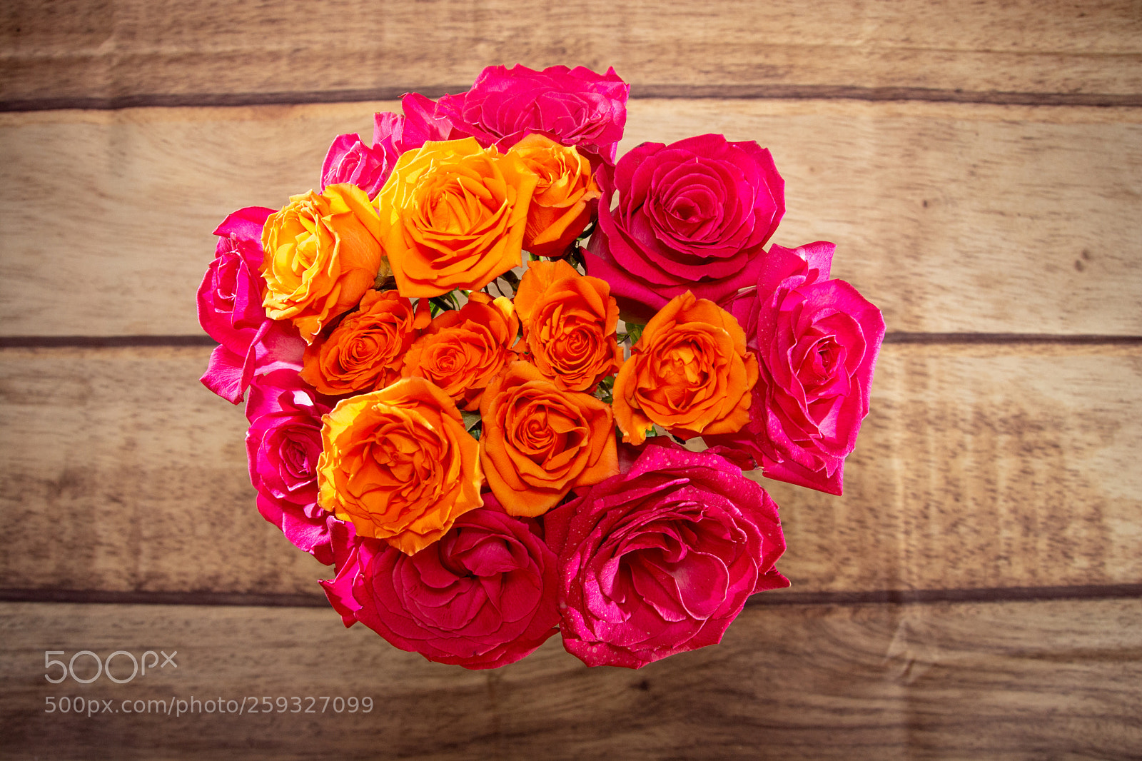 Nikon D7100 sample photo. Beautiful roses photography