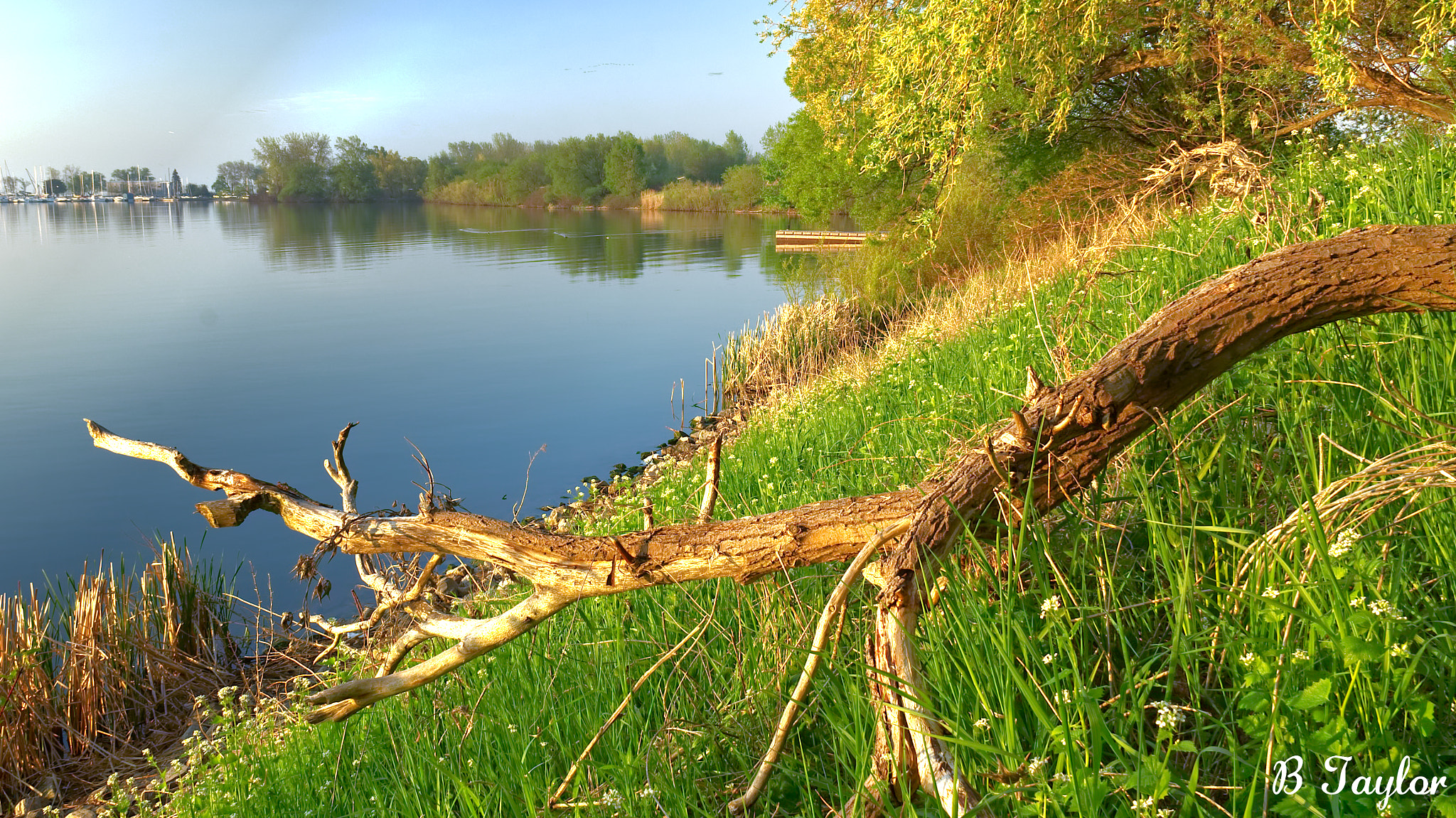 Sony SLT-A57 sample photo. Sloped shore photography