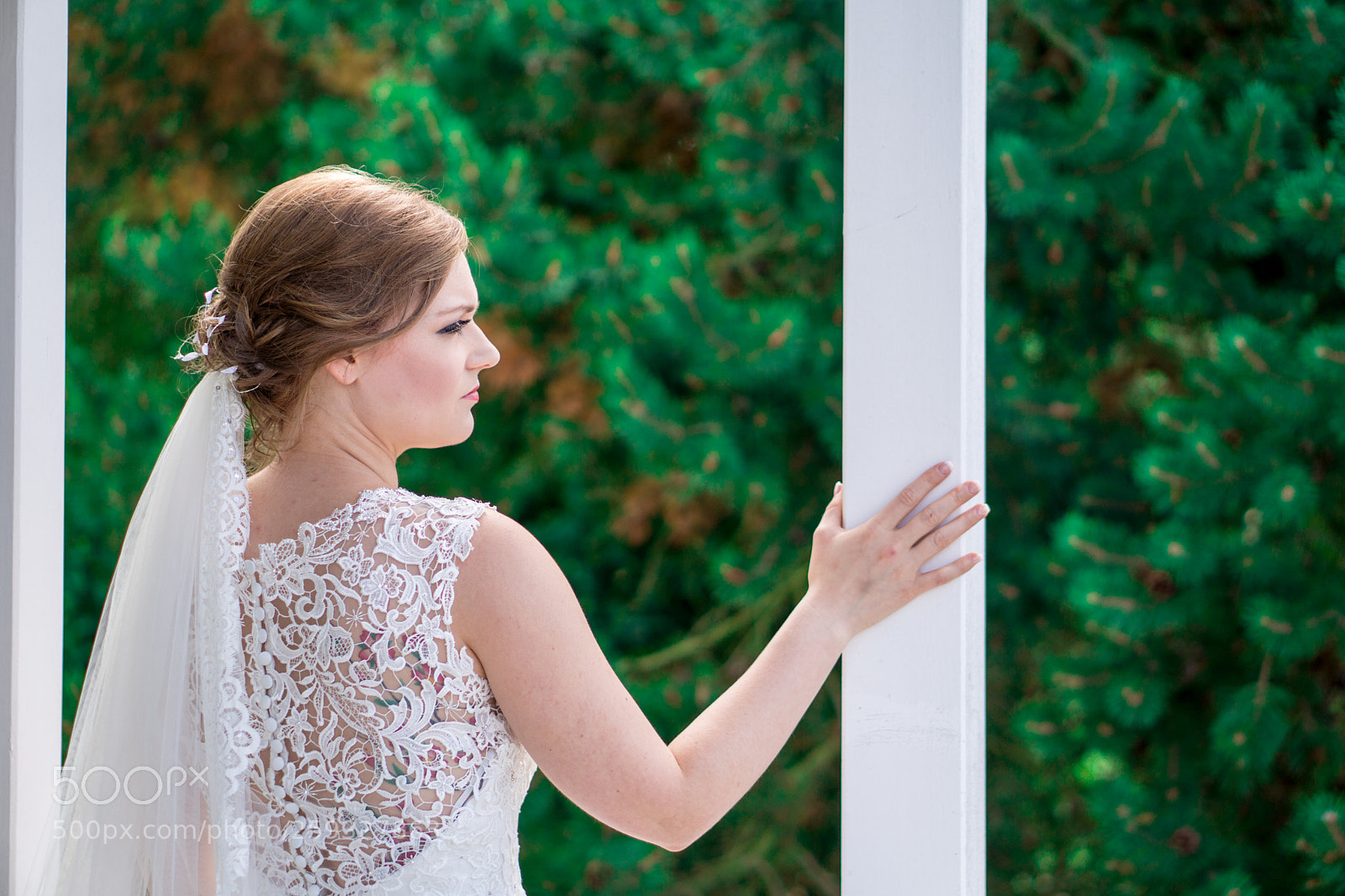 Sony a6000 sample photo. The big day photography