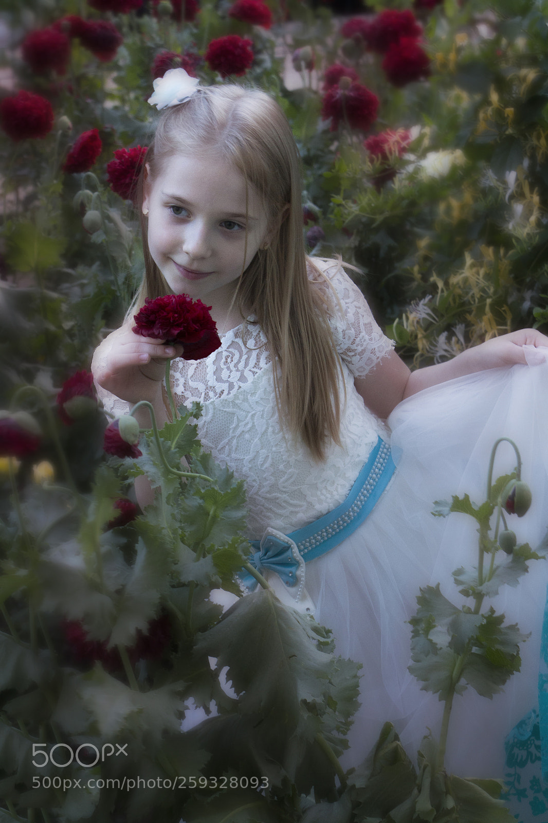 Canon EOS 700D (EOS Rebel T5i / EOS Kiss X7i) sample photo. Princess of poppy photography