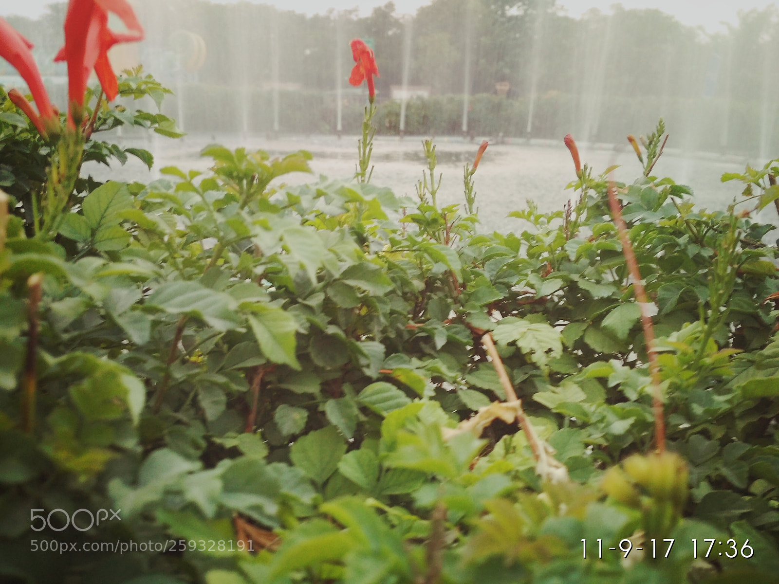 Xiaomi Redmi 4 Pro sample photo. Untitled photography