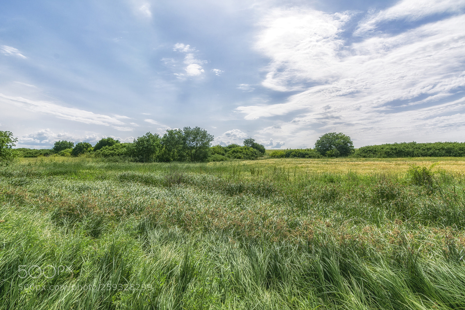 Nikon D5200 sample photo. Countryside. photography