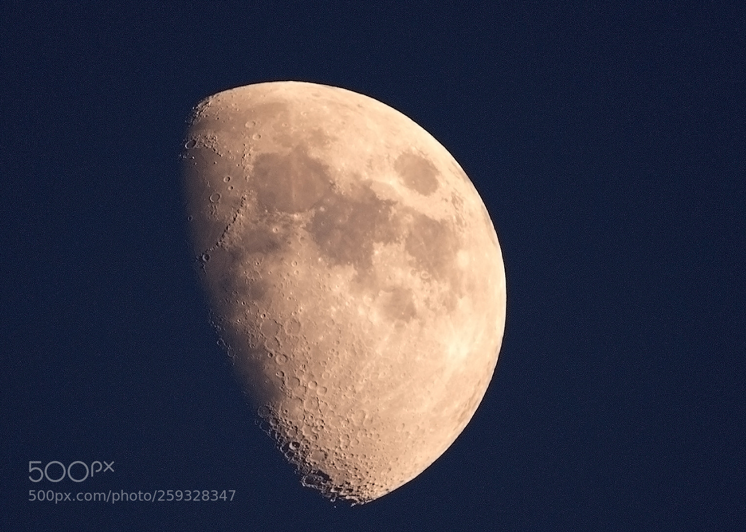 Nikon D750 sample photo. Luna photography
