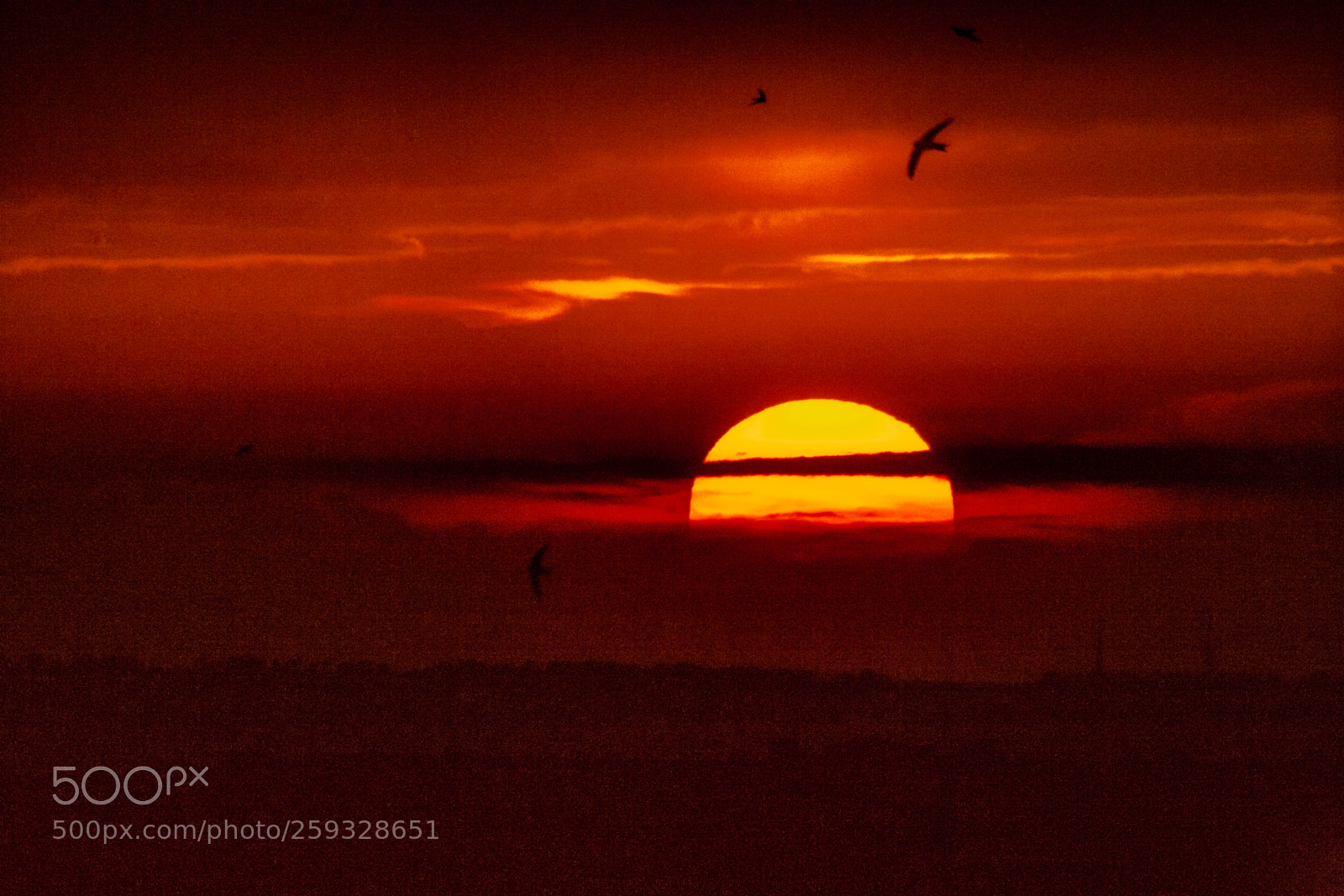 Canon EOS-1Ds Mark II sample photo. Garrigues sunset photography