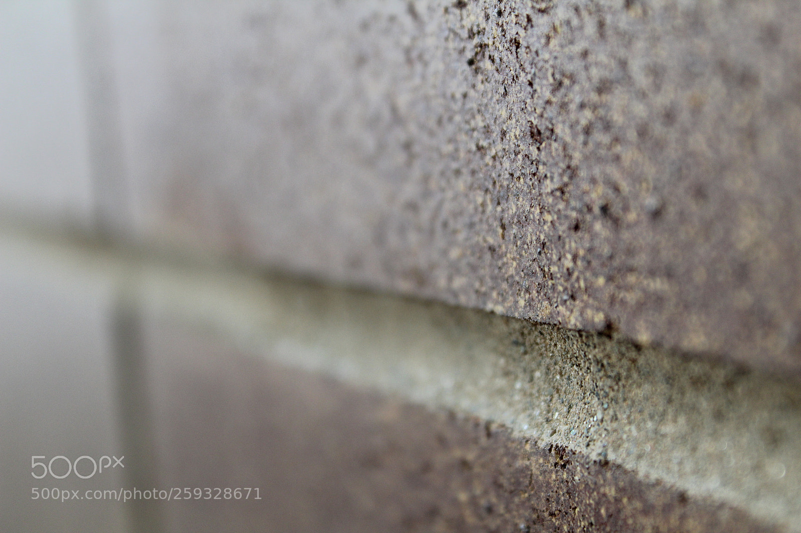 Canon EOS 1300D (EOS Rebel T6 / EOS Kiss X80) sample photo. Texture photography
