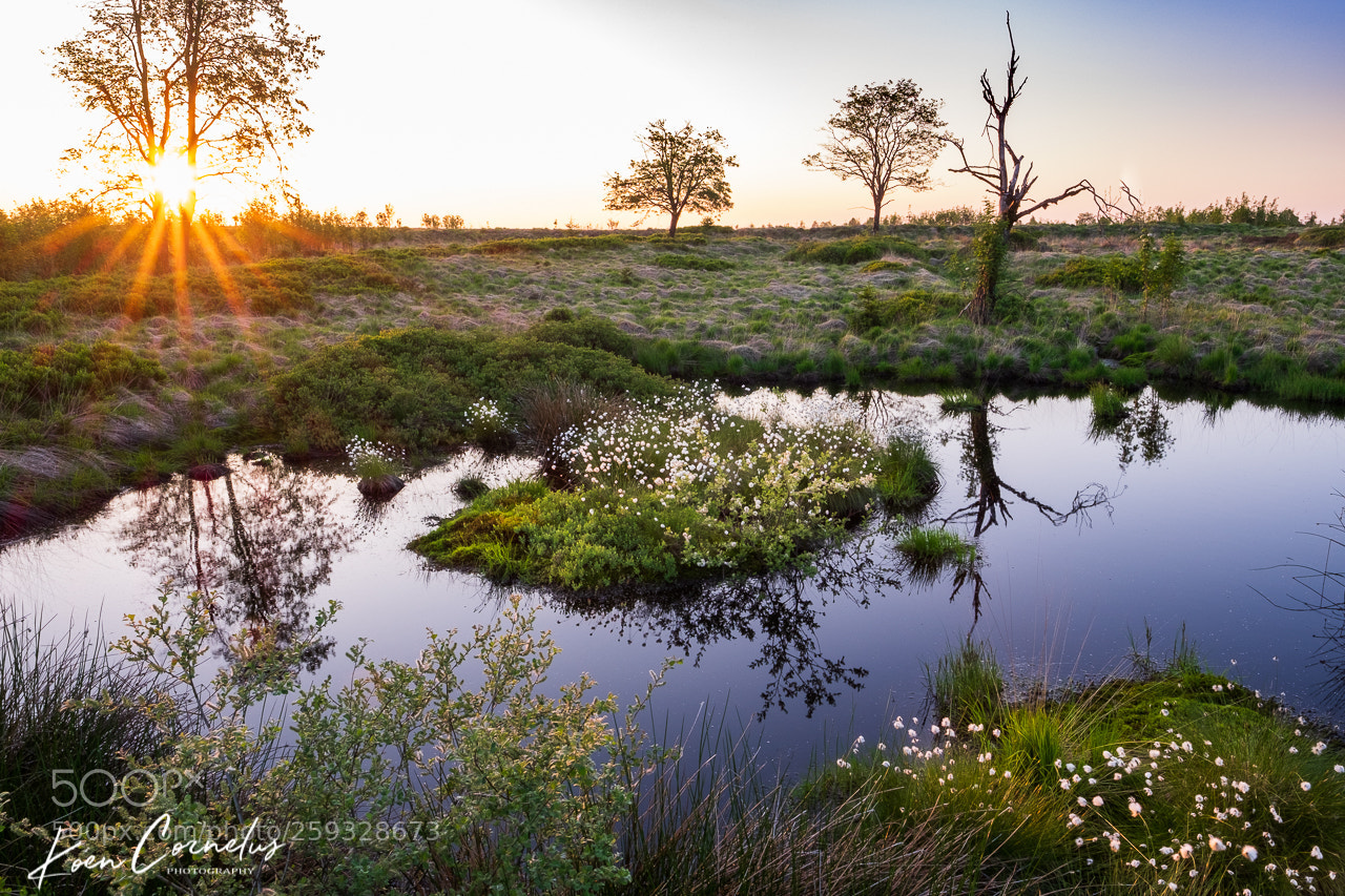 Fujifilm X-T1 sample photo. Hautes fagnes (b) photography