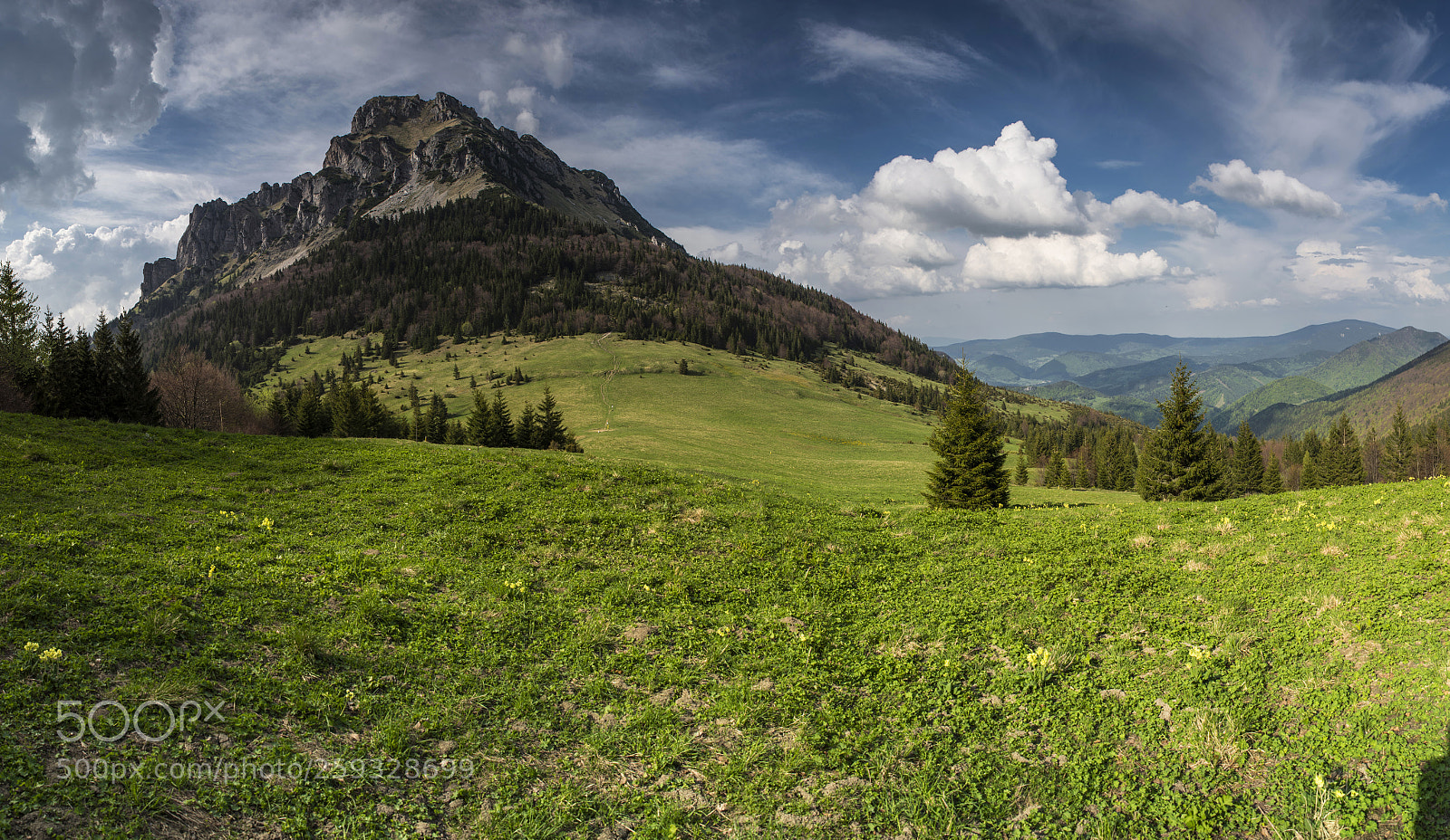 Nikon D750 sample photo. Ve k rozsutec mountain photography