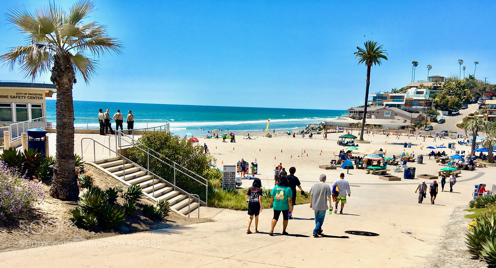 Apple iPhone SE sample photo. Beach day under wing photography