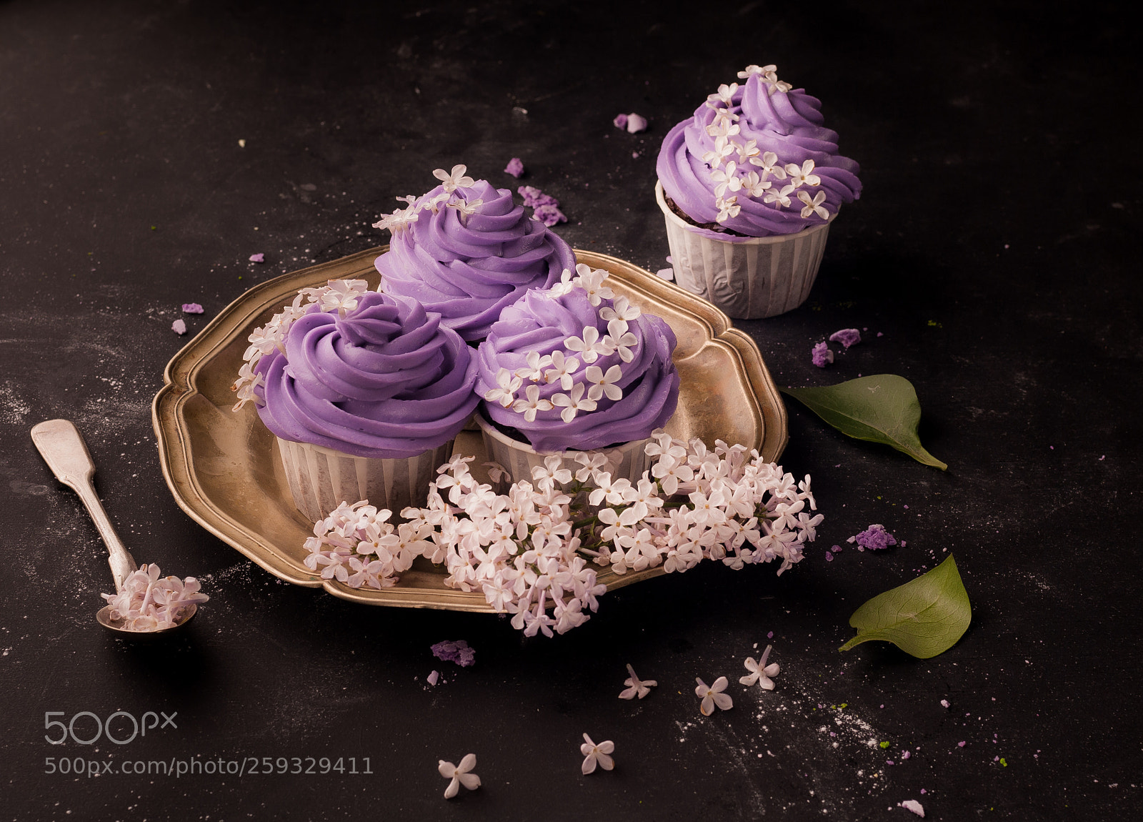 Nikon D200 sample photo. Lilac cupcake photography