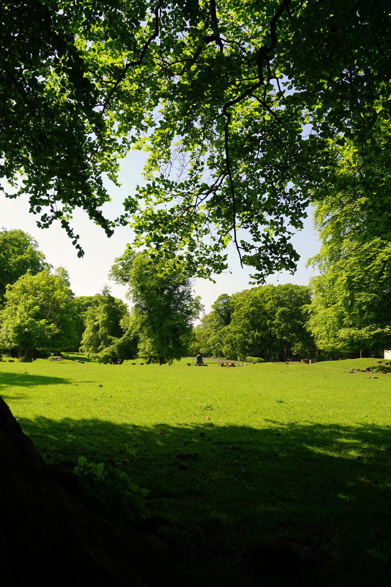 Sony a5100 sample photo. Landscape photography