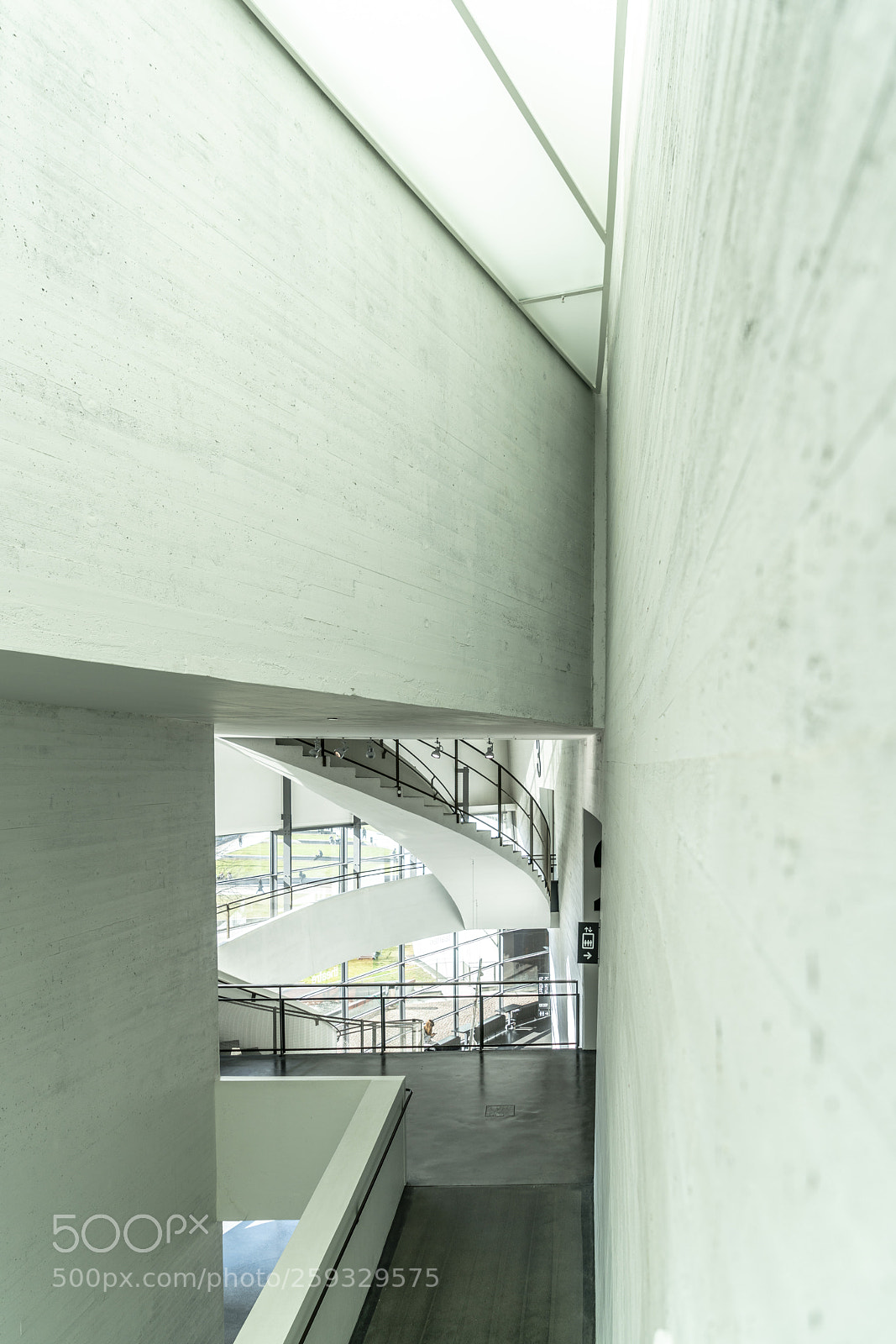 Sony a7R II sample photo. Dsc photography